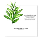 Juicy Chemistry Australian Tea Tree Essential Oil | Grocsy