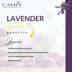 Camia Organic Lavender Essential Oil | Grocsy