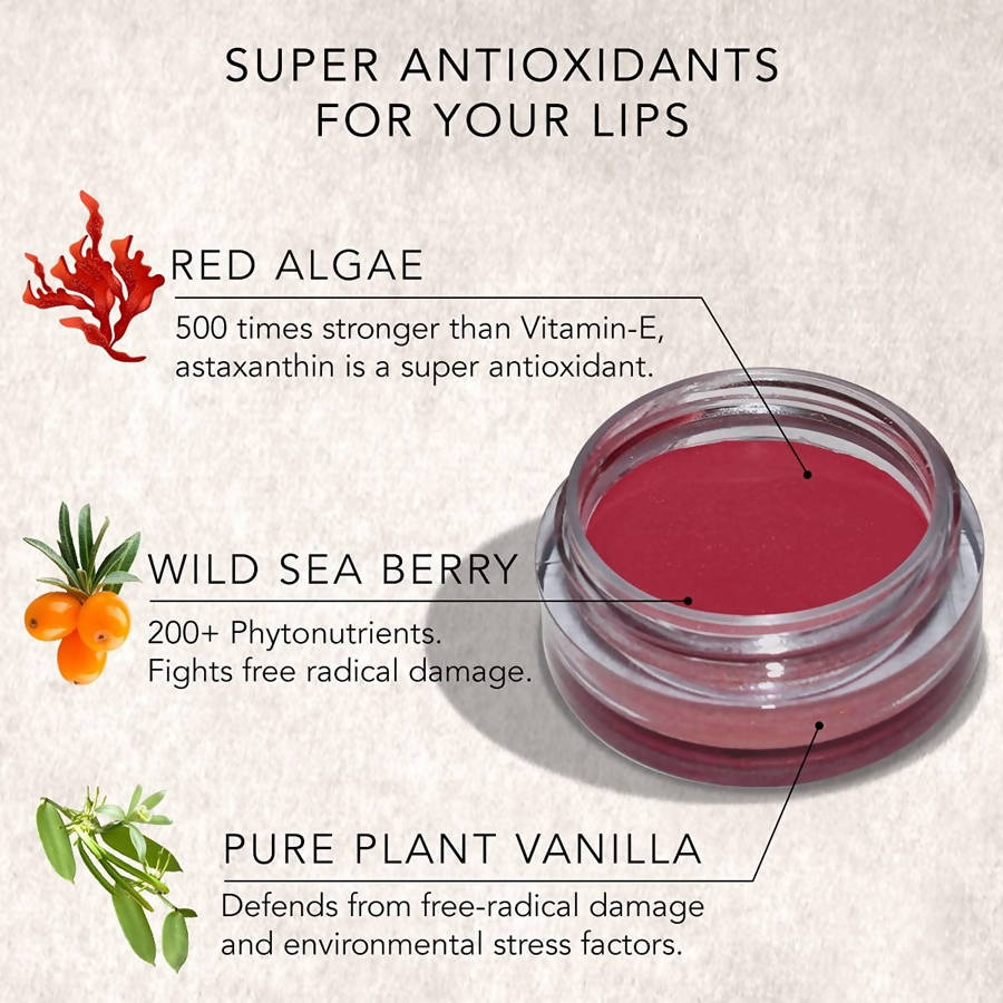 Daughter Earth Rouge Rose Super Antioxidant Lip & Cheek Tint | Grocsy