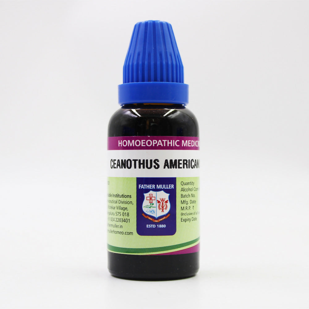Father Muller Ceanothus Americanus Mother Tincture Q | Grocsy