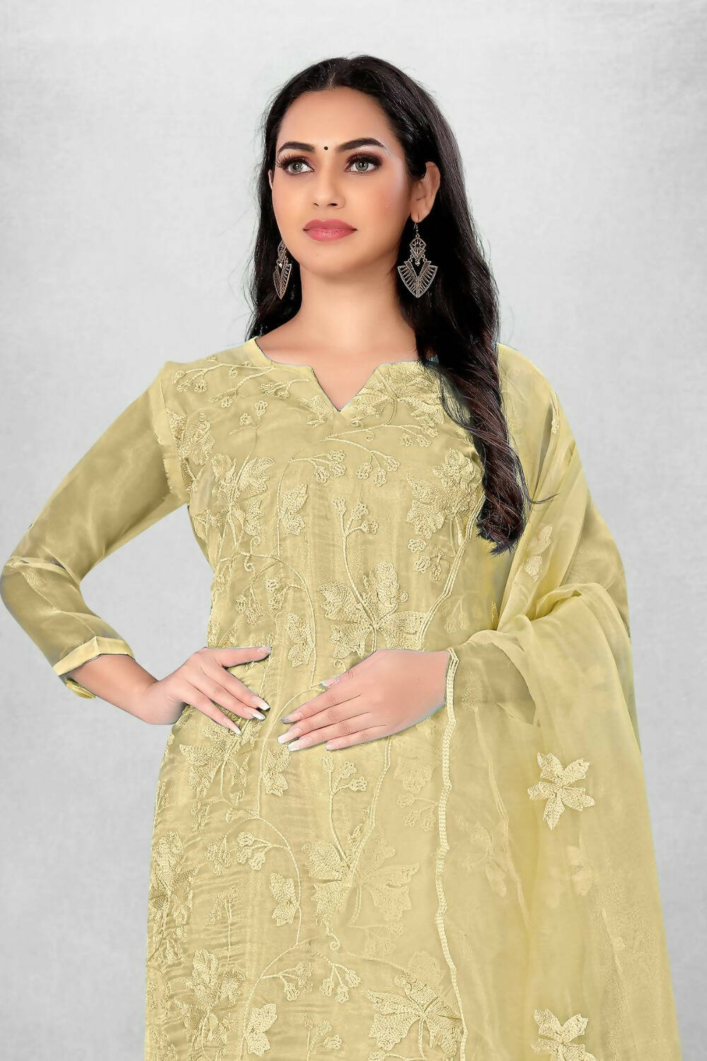 Beige Heavy Organza Silk Embroidered Unstitched Dress Material - Amara | Grocsy