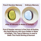 ‎G.S Rana Parad Shivling (50 Gram) Parad Shivling (29 mm) | Grocsy
