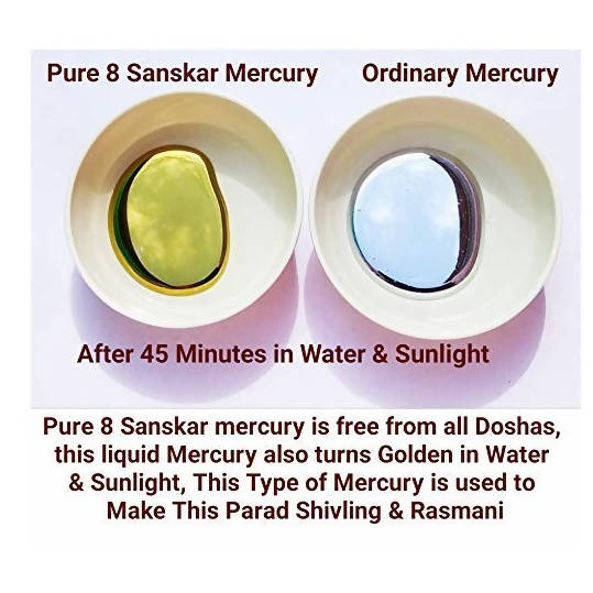 ‎G.S Rana Parad Shivling (50 Gram) Parad Shivling (29 mm) | Grocsy