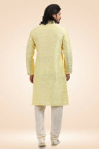 Raivat Ethnic Jacquard Banarasi Silk Pintux Work Kurta Pajama In Lemon Colour | Grocsy