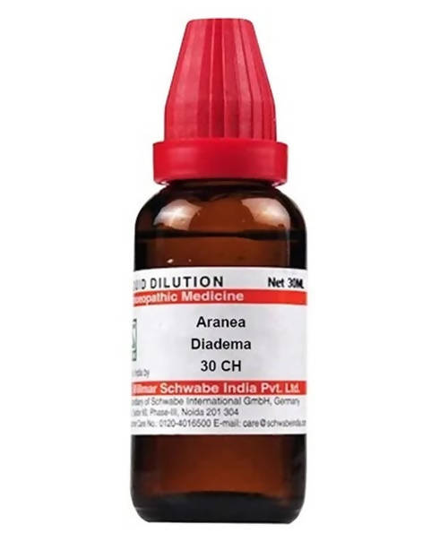 Dr. Willmar Schwabe India Aranea Diadema Dilution | Grocsy