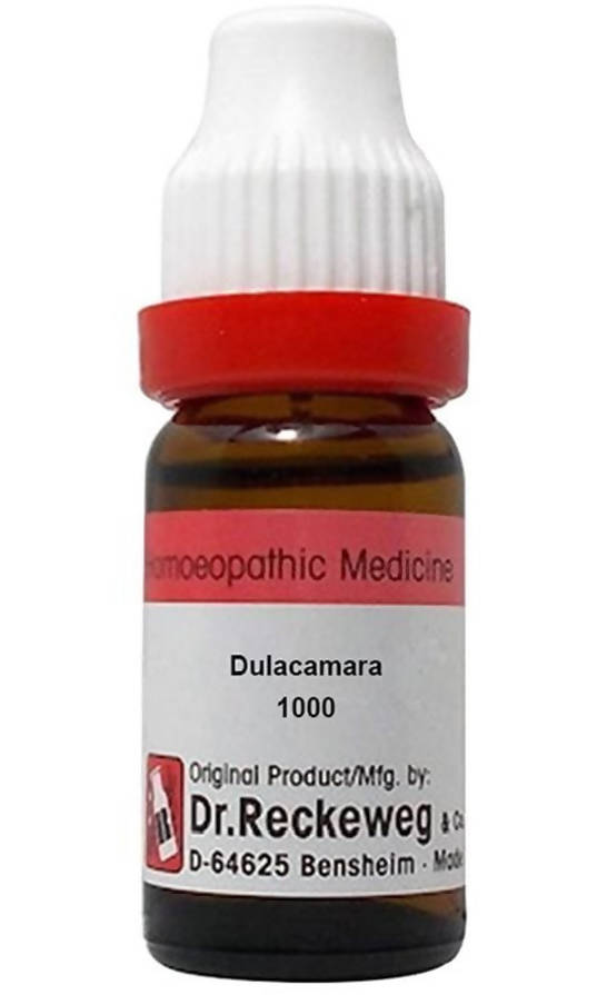 Dr. Reckeweg Dulcamara Dilution | Grocsy