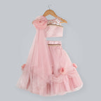 Pink Cow Fashions Old Rose Ghagra Choli With Embellishment On Upper Chest | Grocsy