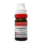 Dr. Reckeweg Caulophyllum Dilution | Grocsy