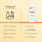 Sebamed Color Care Shampoo | Grocsy