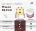 Love Earth Organic Coconut Lip Balm | Grocsy