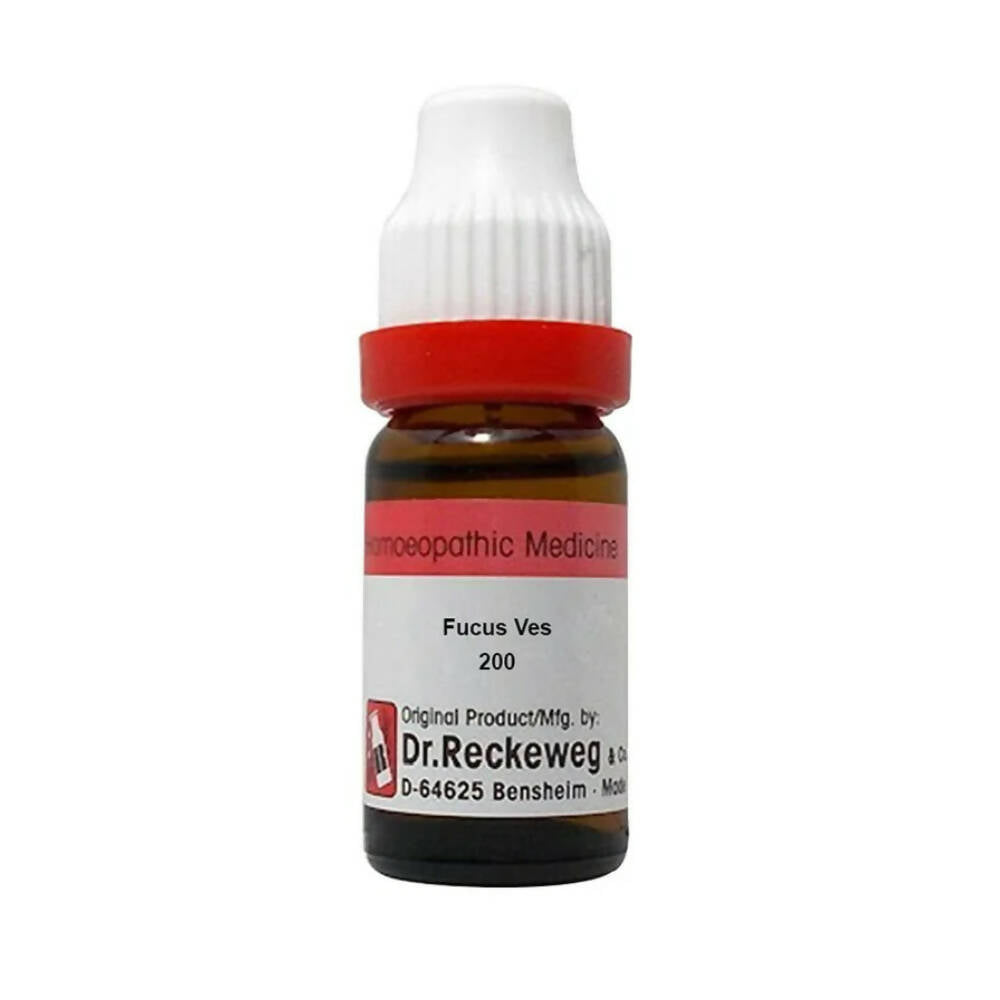 Dr. Reckeweg Fucus Ves Dilution | Grocsy
