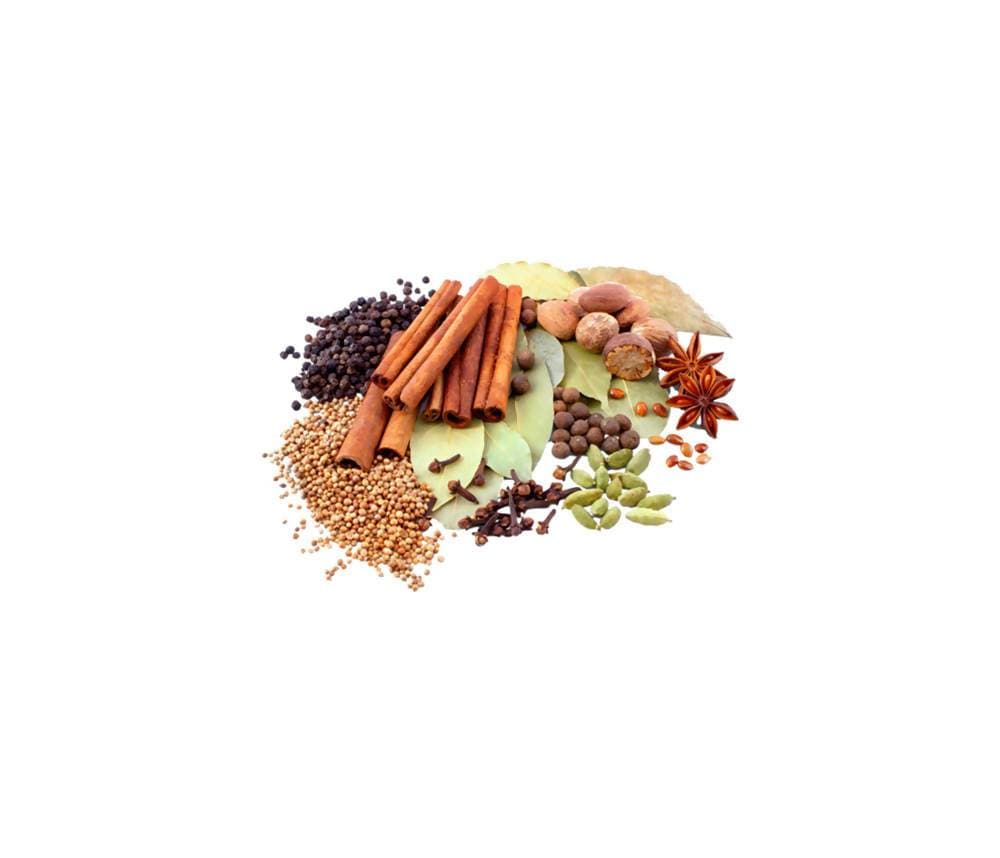 Nanak Premium Garam Masala,100g | Grocsy