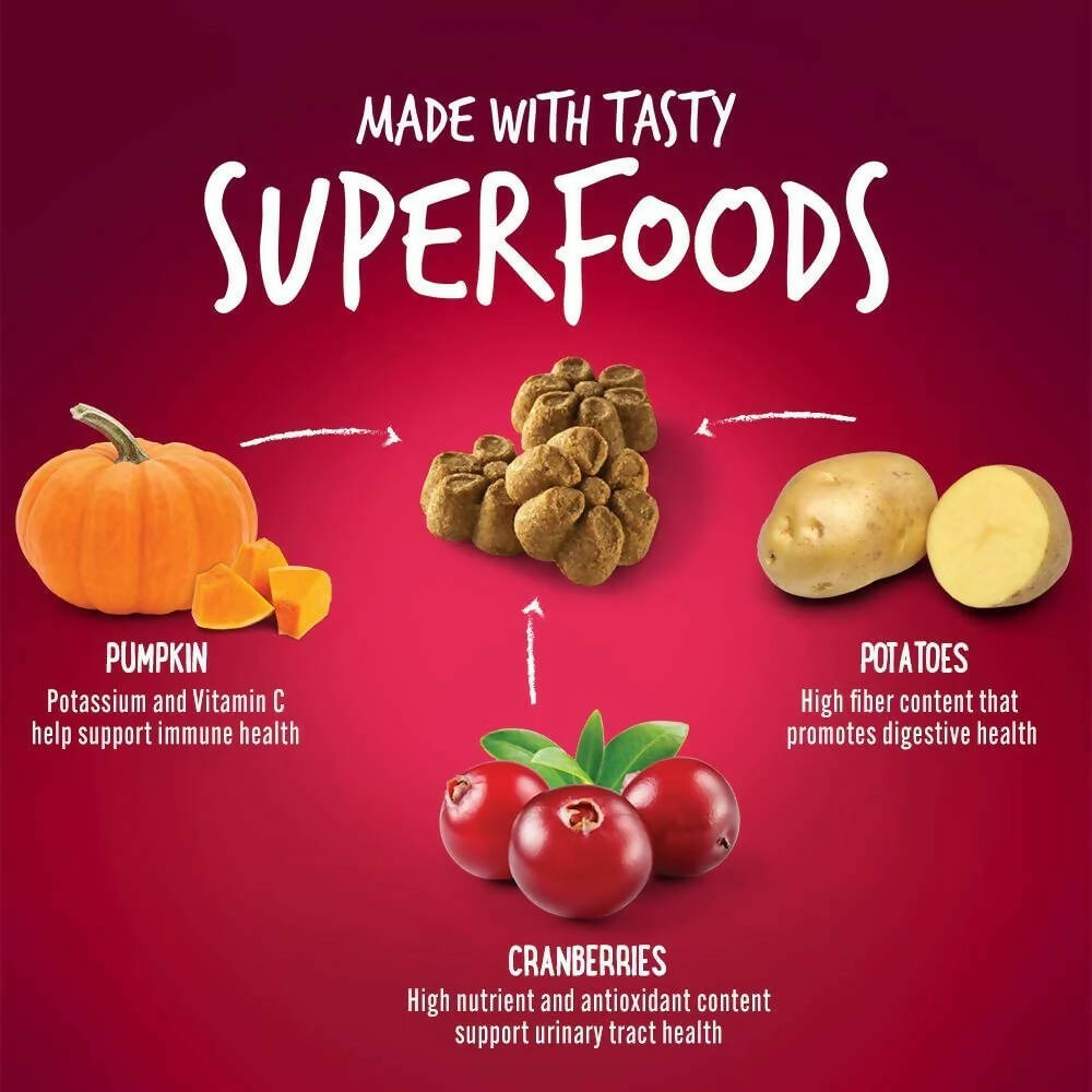Fruitables Pumpkin And Cranberry Dog Treat | Grocsy