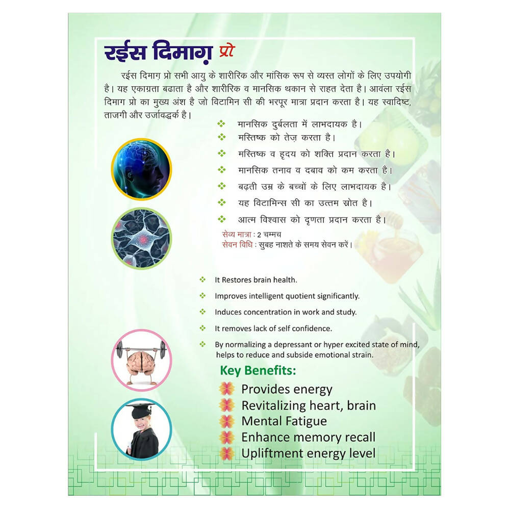 Dardmand Rais Dimagh Pro | Grocsy