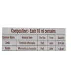 Patanjali Karela Amla Juice (500 ML)