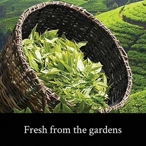 Teamonk Darjeeling Tapas Oolong Tea Leaves (75 Cups) | Grocsy
