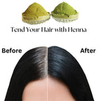 Etheric Indigo Leaves Powder for Chemical Free Natural Hair Colouring & Dye | Amonia Free | Grocsy