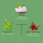 Krishna'S Herbal & Ayurveda Krishnadhara Roll On | Grocsy