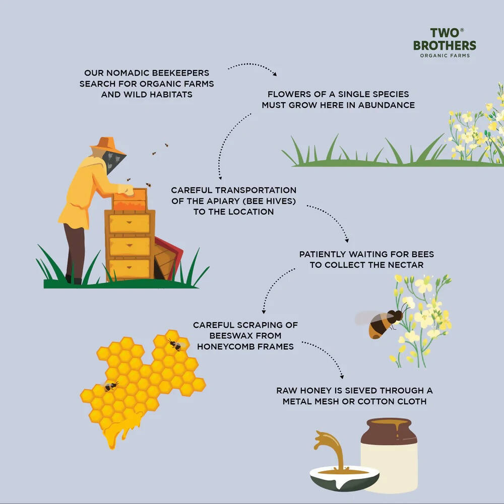 Two Brothers Organic Farms Raw Mustard Flower Honey-Mono Floral | Grocsy
