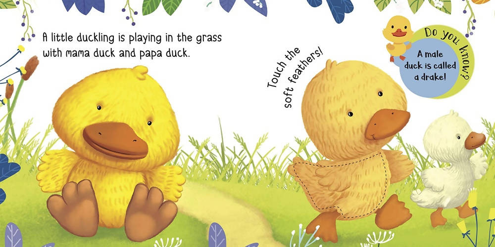 Om Touch And Feel Baby Animals Book | Grocsy