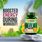 Himalayan Organics Plant Based CLA 1000 Healthy Weight Management Vegetarian Capsules | Grocsy
