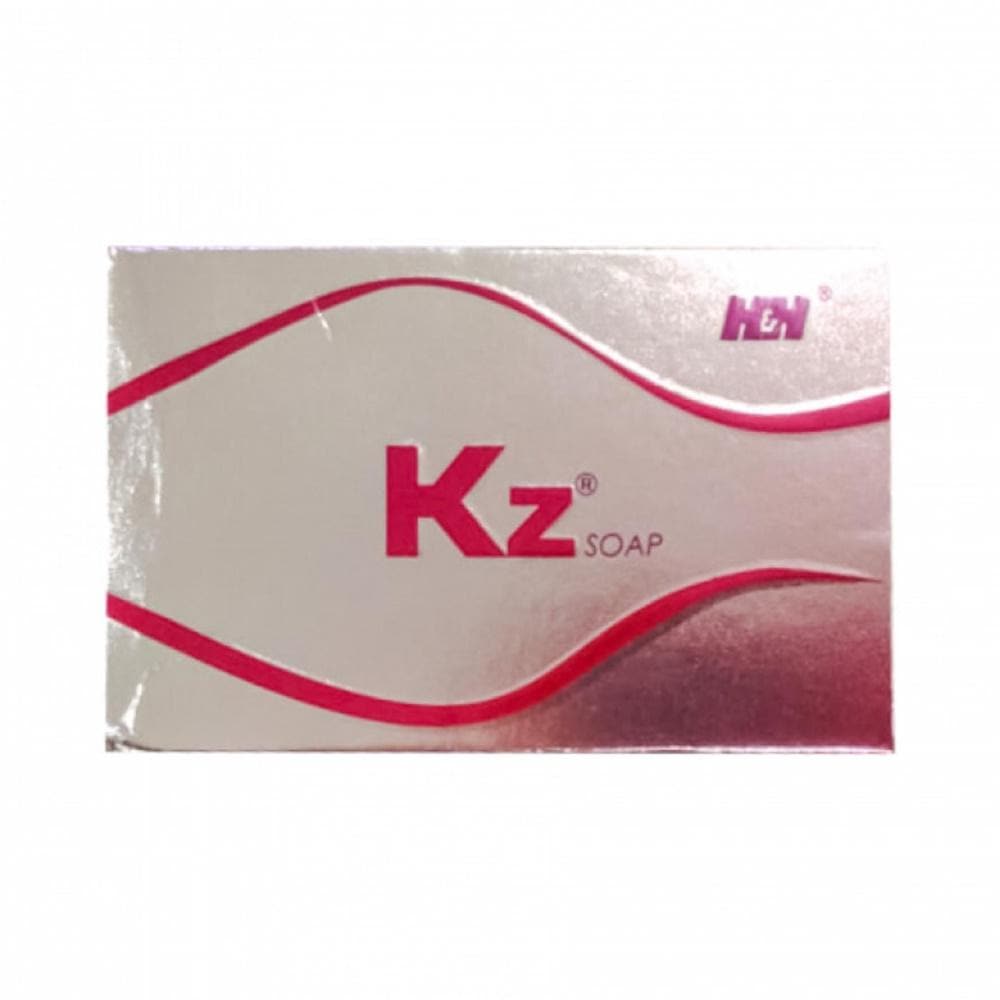 H&H KZ Soap | Grocsy