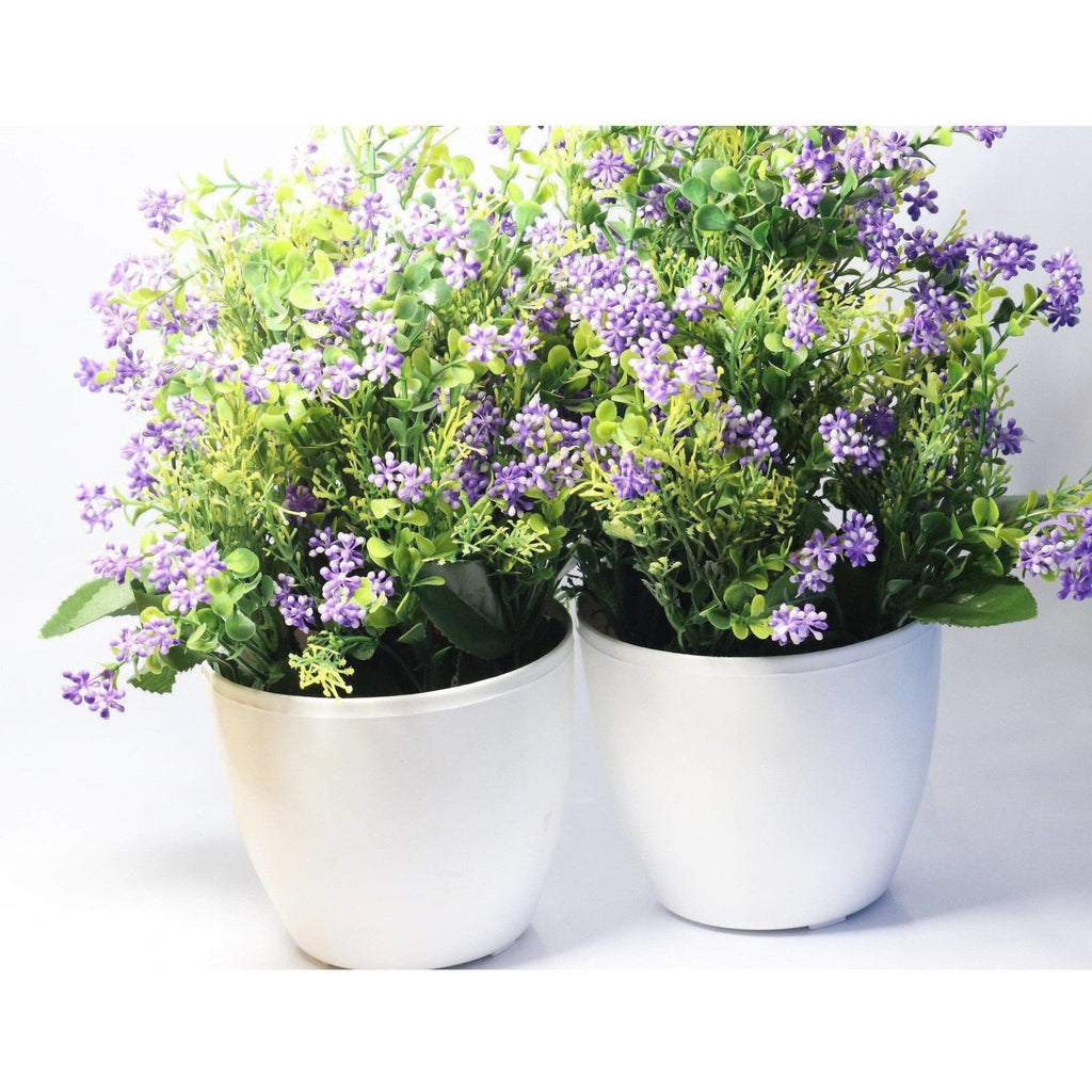 Chahat Decorative Artificial Flower Plant 2 Piece Combo | Grocsy