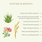 Just Herbs Silky Strength Aloevera-Wheatgerm Moisturising Shampoo | Grocsy