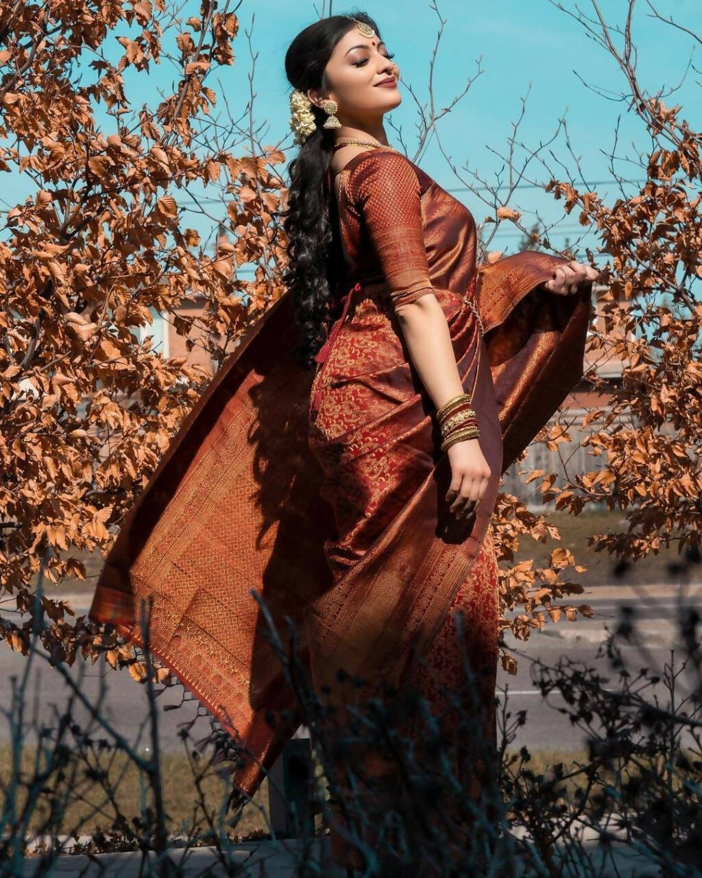 DEIANA'S Beautiful Designer Golden zari Soft Lichi Silk Saree - Maroon | Grocsy