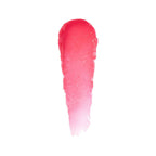 Bobbi Brown New Extra Lip Tint - Bare Punch | Grocsy