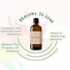 FOY Naturals 24 Element Hair Oil For Greying Hair | Grocsy