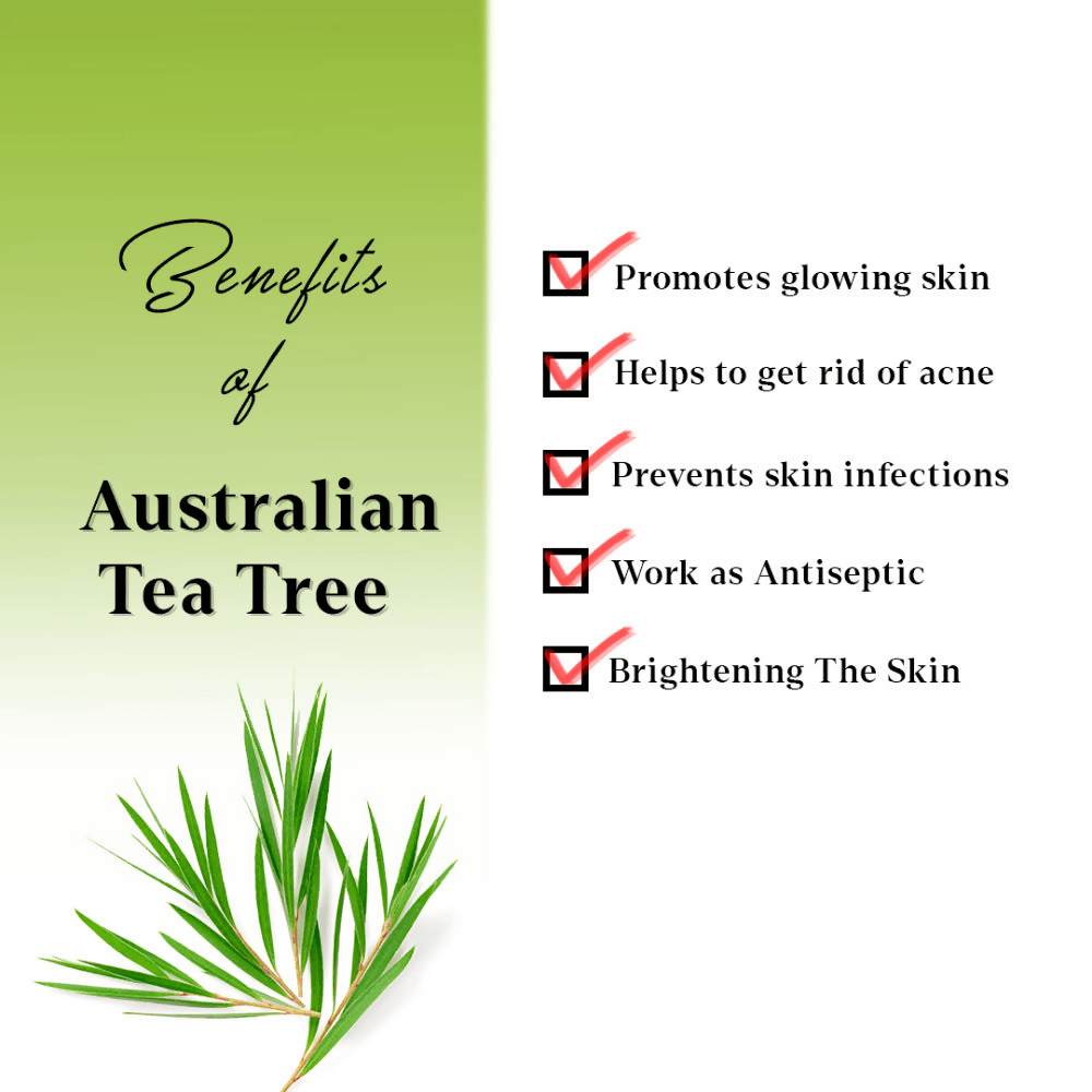AYA Australian Tea Tree Face Mask | Grocsy