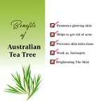 AYA Australian Tea Tree Face Mask | Grocsy