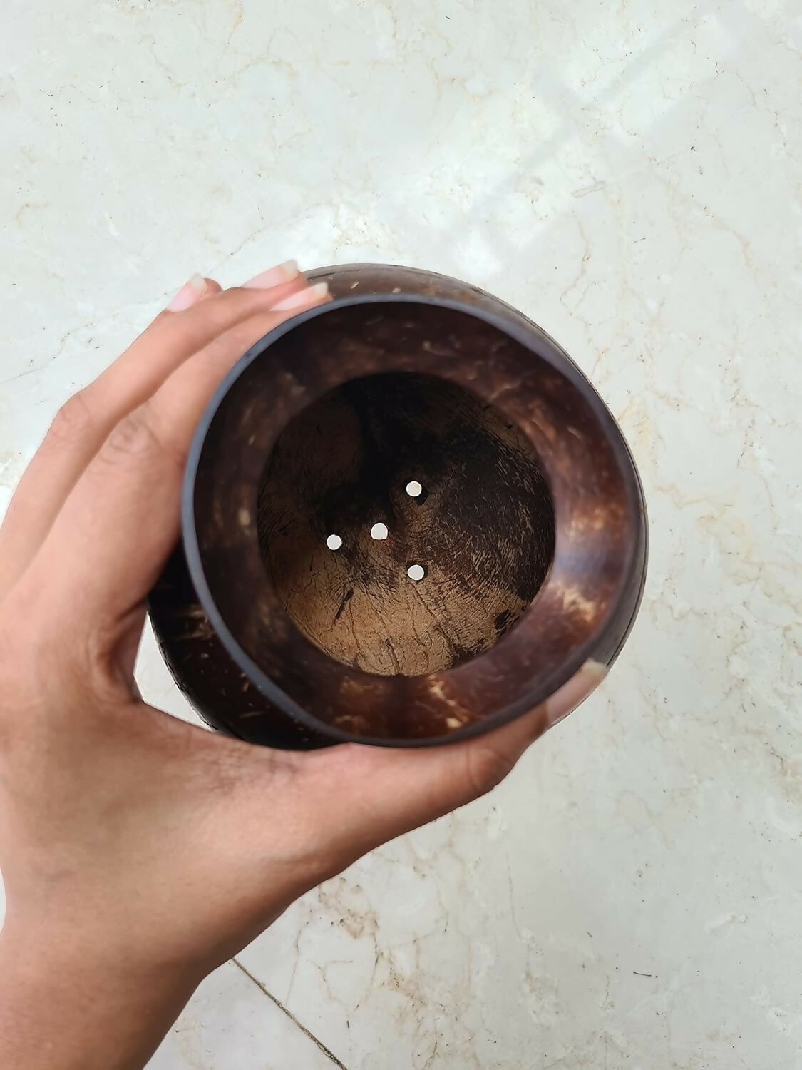 Thenga Handmade Coconut Shell Planter Pot with Cork Tray | Grocsy