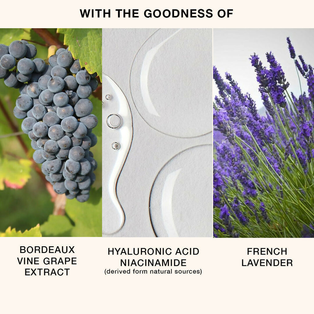 Skog Body Wash (With Bordeaux Vine Grape Extract) | Grocsy