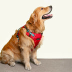 Waggety Adjustable Full Body Dog Harness - Comfortable Fit, Durable Polyester, Red | Grocsy