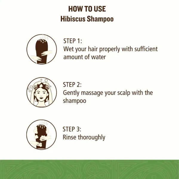 SoulTree Hibiscus Shampoo With Honey And Aloe Vera | Grocsy