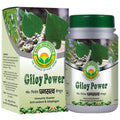 Basic Ayurveda Giloy Power Capsules | Grocsy