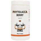 Bakson's Homeopathy Phytolacca Berry Tablets | Grocsy
