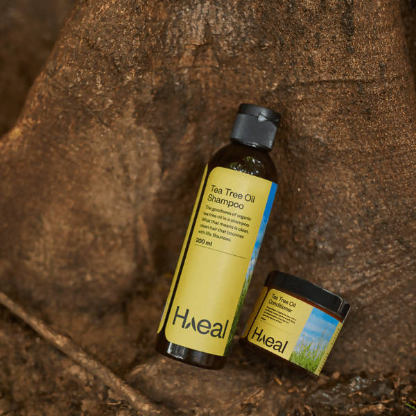 Haeal Tea Tree Oil Shampoo + Conditioner Combo | Grocsy