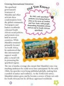 Dreamland Publications Nelson Mandela Icons of Inspiration Illustrated Biography For Kids | Grocsy
