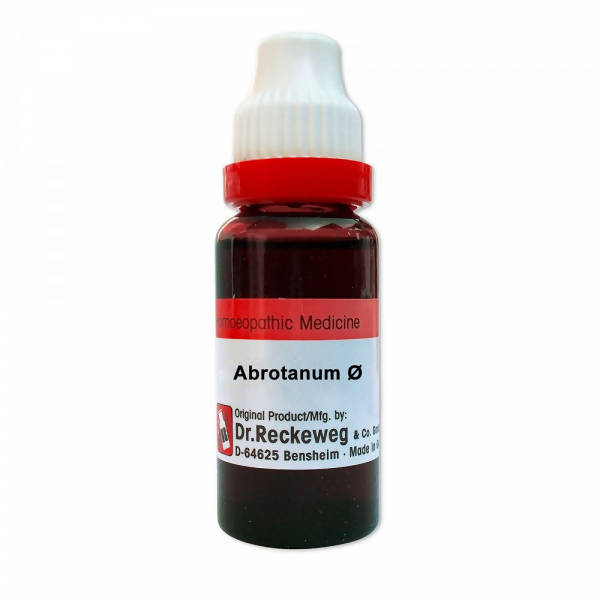 Dr. Reckeweg Abrotanum Mother Tincture Q | Grocsy