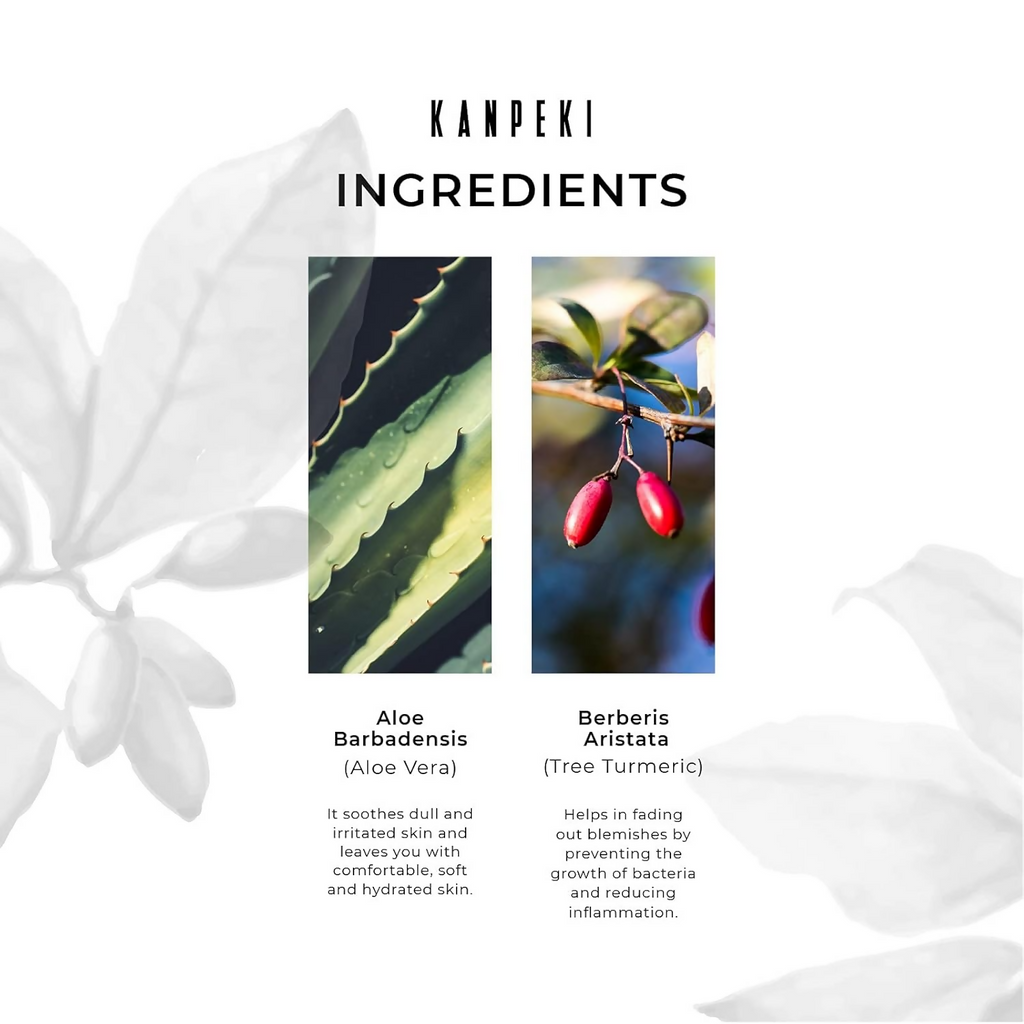Kanpeki Hydra Boost Facial Serum | Grocsy