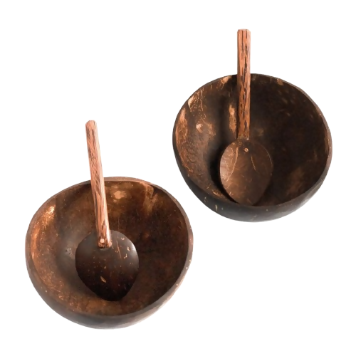 Thenga Artisan Mini Coconut Shell Bowl with Spoon | Grocsy