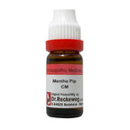 Dr. Reckeweg Mentha Pip Dilution | Grocsy
