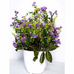 Chahat Decorative Artificial plant for home & office | Grocsy