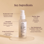 Earthraga Age Defying HA Face Serum | Grocsy