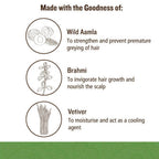 Soultree Revitalising Hair Oil with Aamla & Brahmi | Grocsy