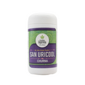 Santulan Ayurveda San Uricool Churna | Grocsy