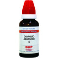 BHP Homeopathy Chaparro Amargoso Mother Tincture Q | Grocsy